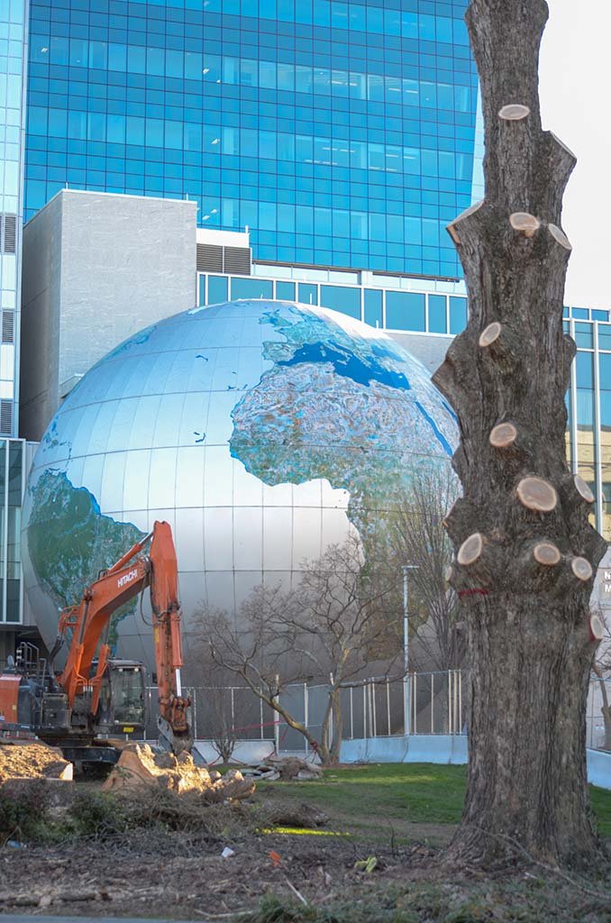 Tree Services