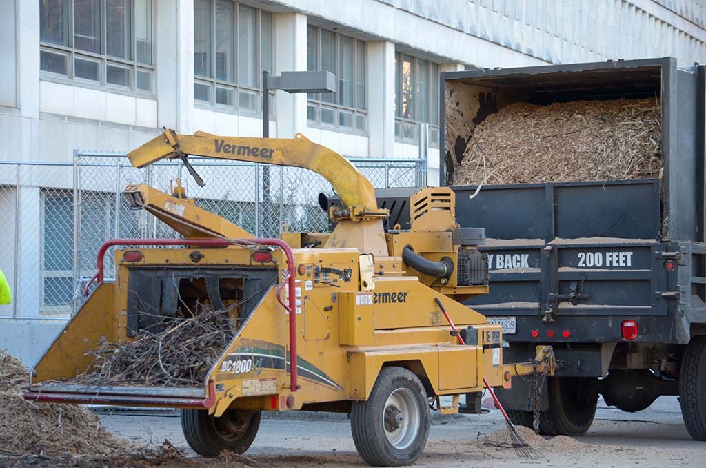 Tree Services